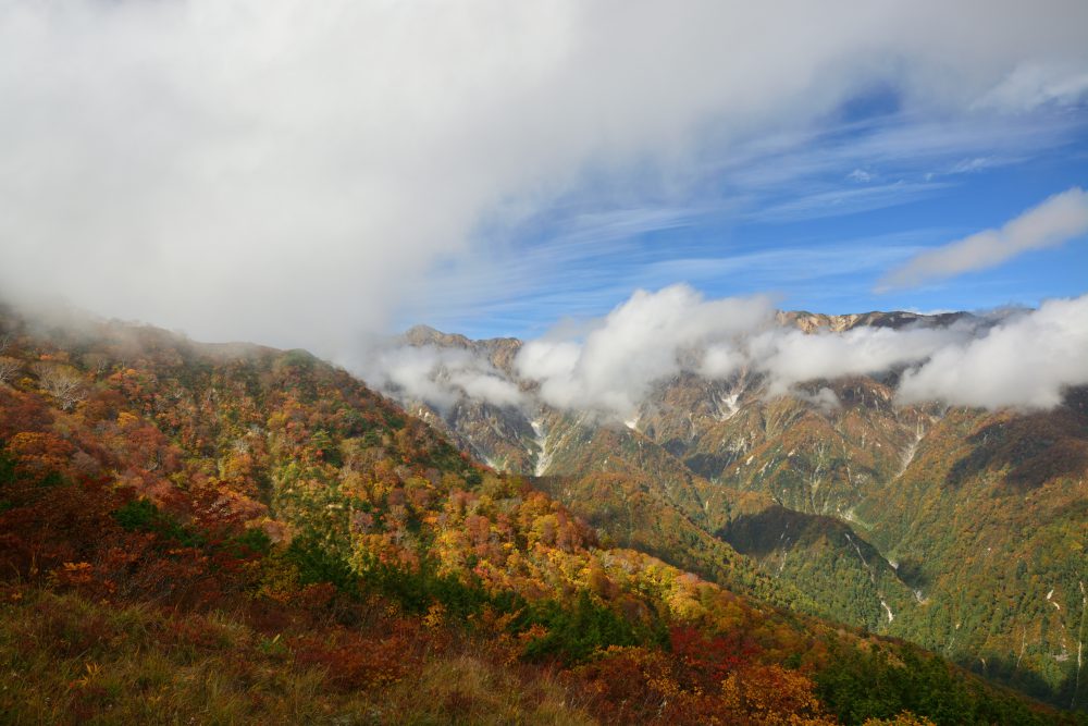 181006-DSC_8425