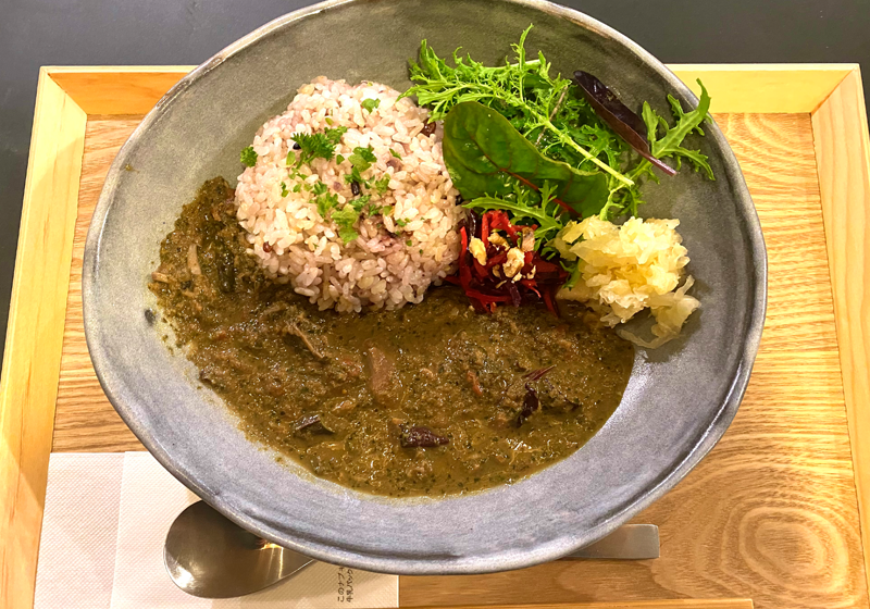 Today's Luna Curry