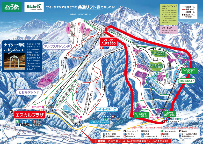 エイブル白馬五竜&Hakuba47 スキー場 リフト券 2枚 - スキー場