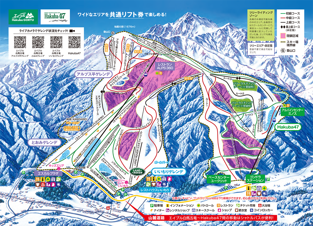 エイブル白馬五竜、Hakuba47 共通1日リフト券 2枚セット 流行に - スキー場