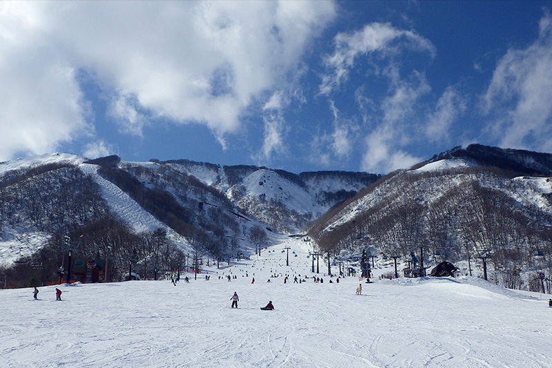 Toomi Slope