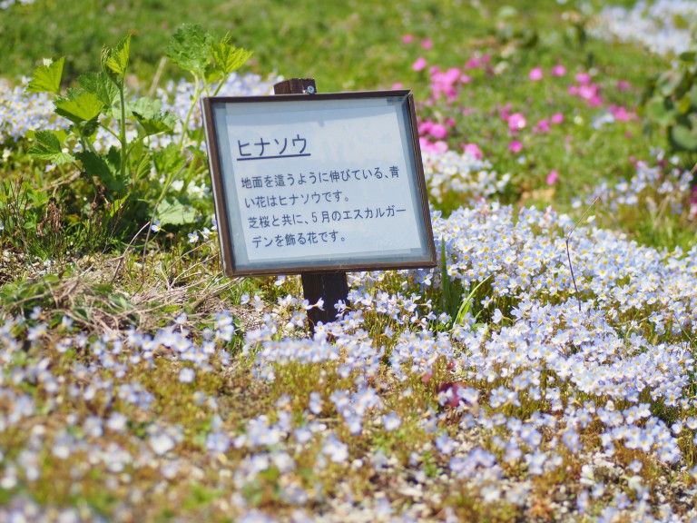 P5041271