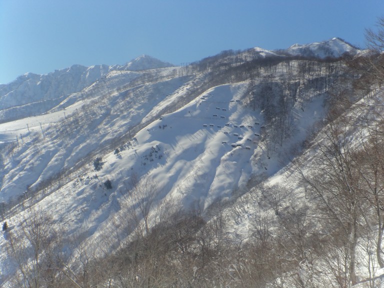 DSC01542