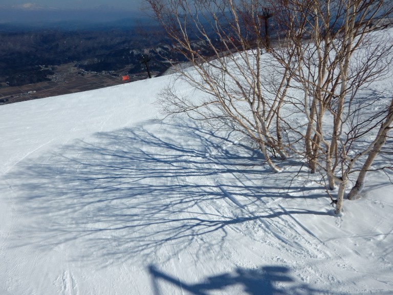 DSCN0670