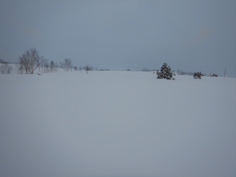 DSCN3129
