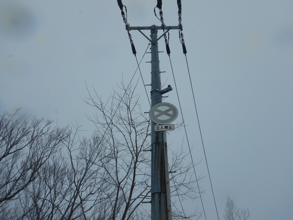 DSCN8173