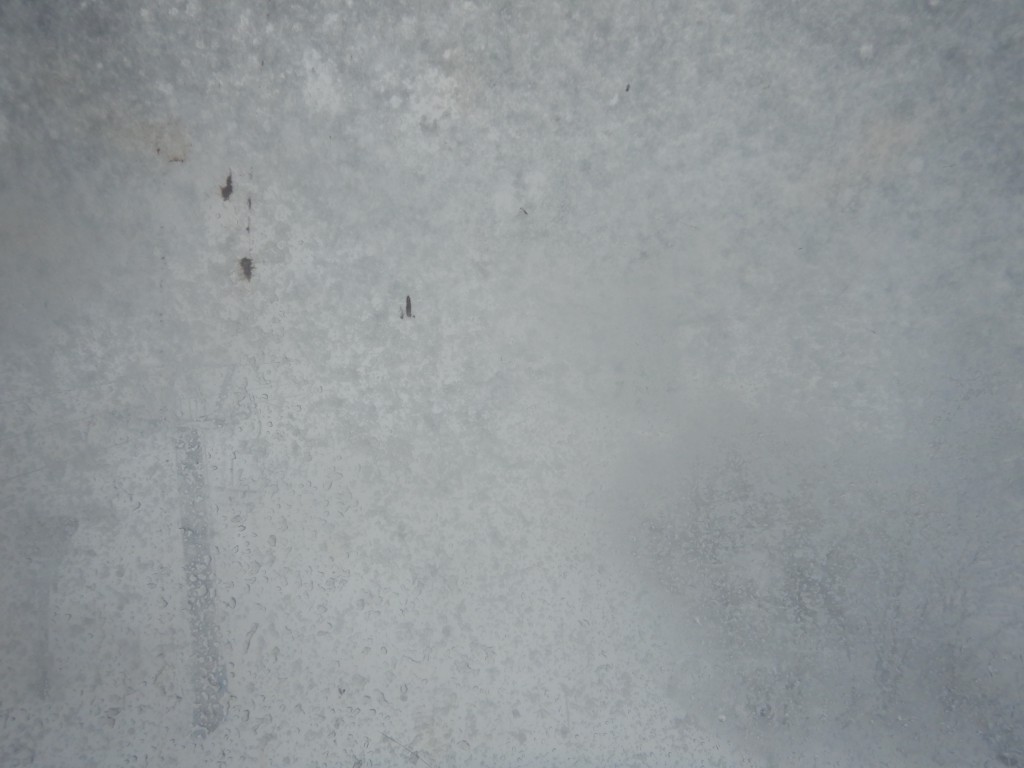 DSCN8711