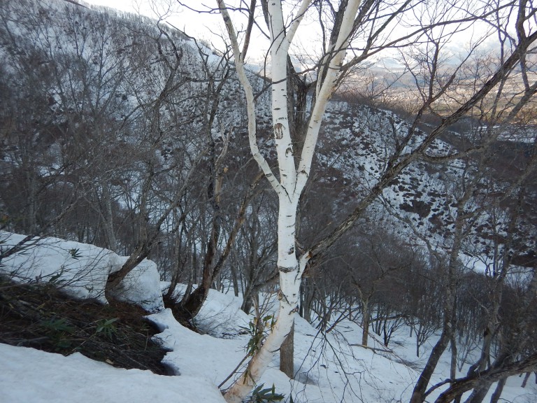DSCN2682