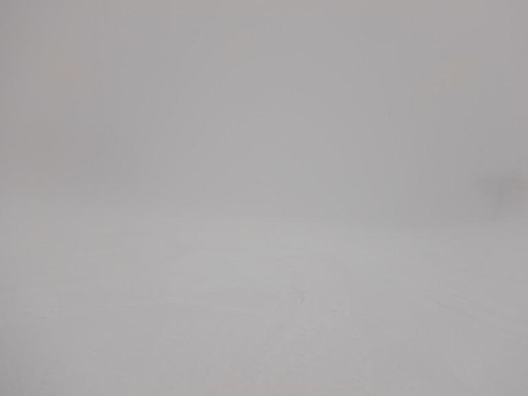 DSCN9914