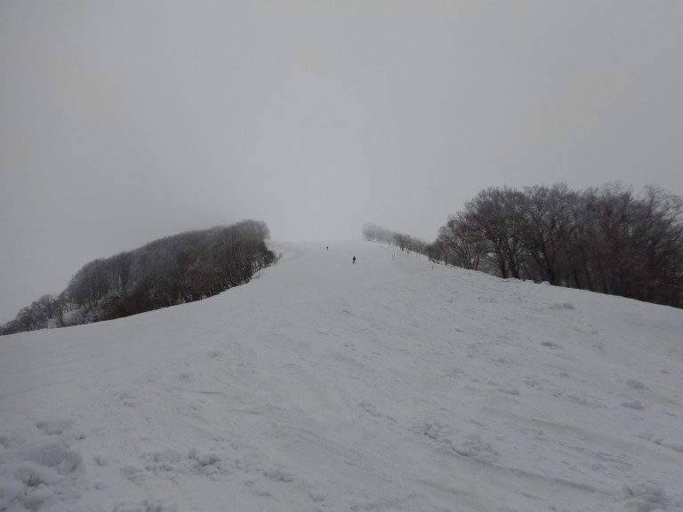 DSCN9917