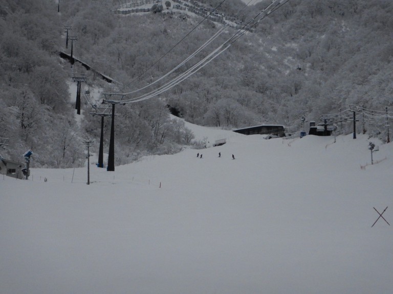DSCN0101