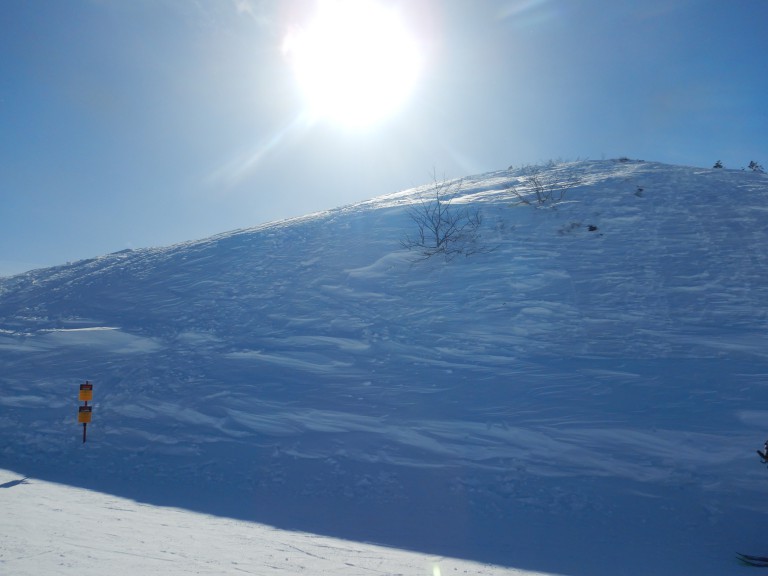 DSCN0285