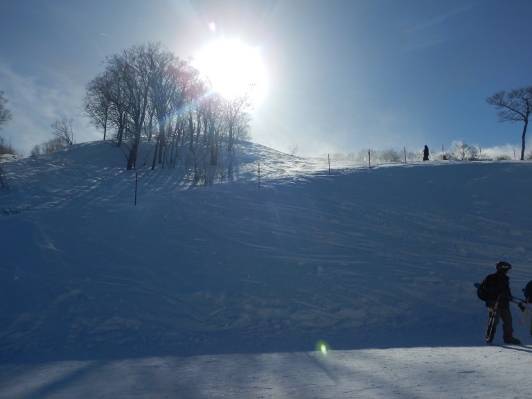 DSCN0286