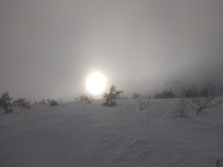 DSCN0484