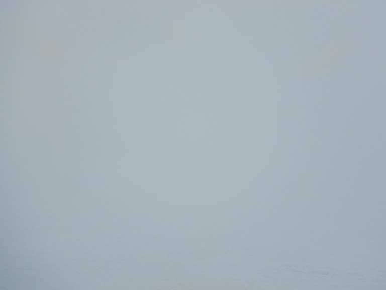 DSCN0524