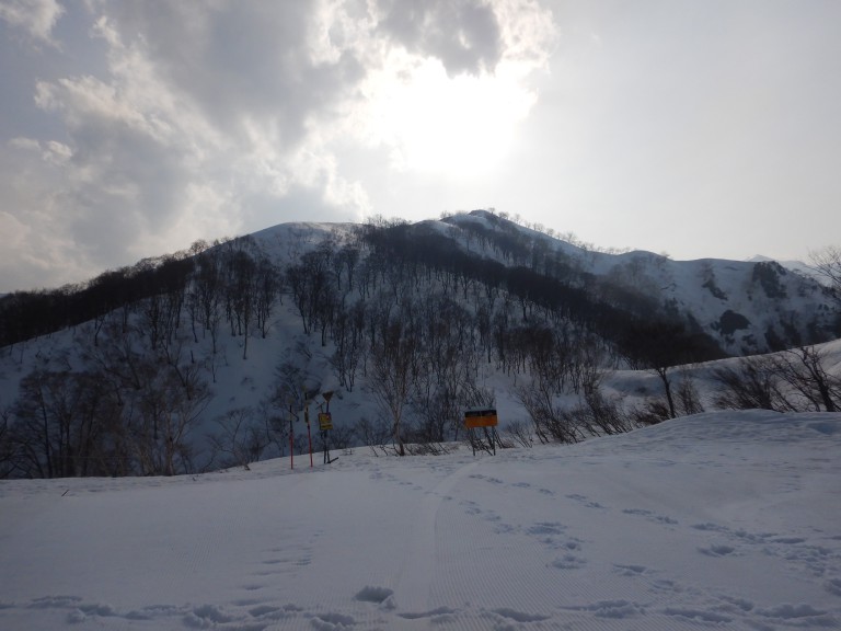 DSCN9941