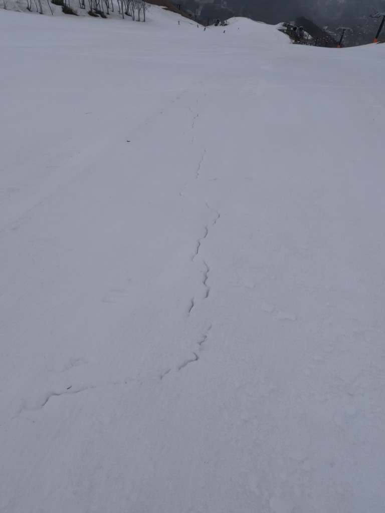 IMG_20260407_083720_783