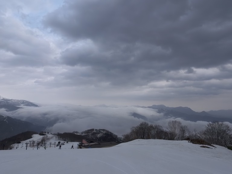 IMG_20260407_085609_786