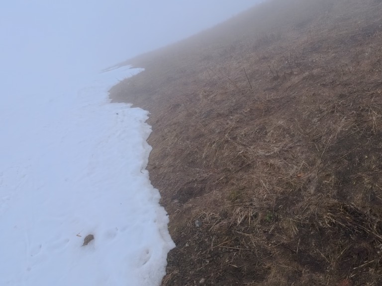 IMG_20260407_122408_796